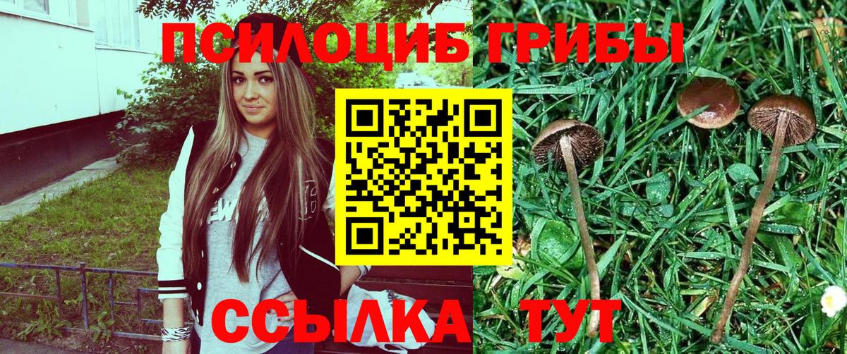 Галлюциногенные грибы Psilocybe  Вход с VPN  Балашиха 