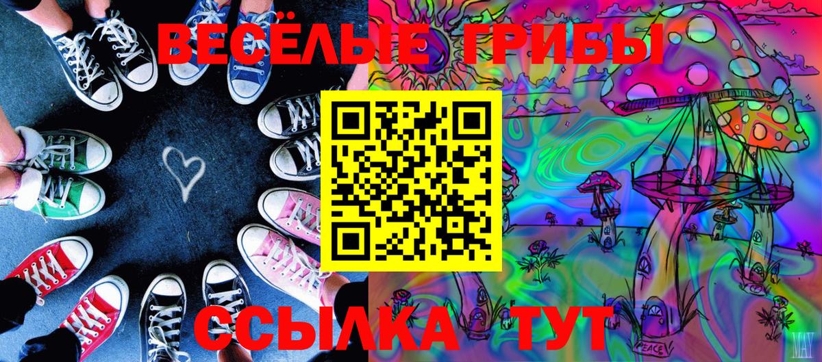 Псилоцибиновые грибы Psilocybine cubensis Балашиха